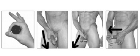 jelqing a pénisz bővítésére